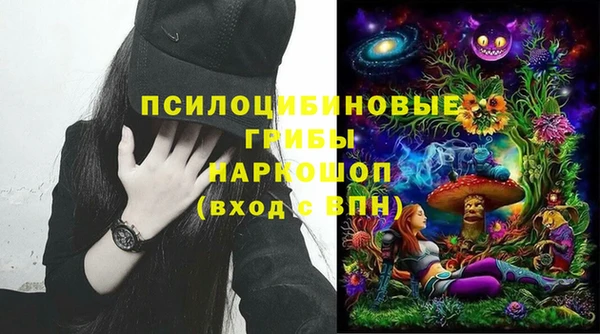 МДПВ Абдулино