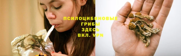 МДПВ Абдулино