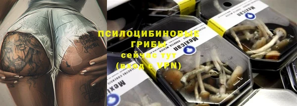 Альфа ПВП Алексин